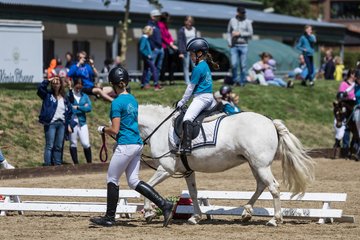 Bild 32 - Pony Akademie Turnier